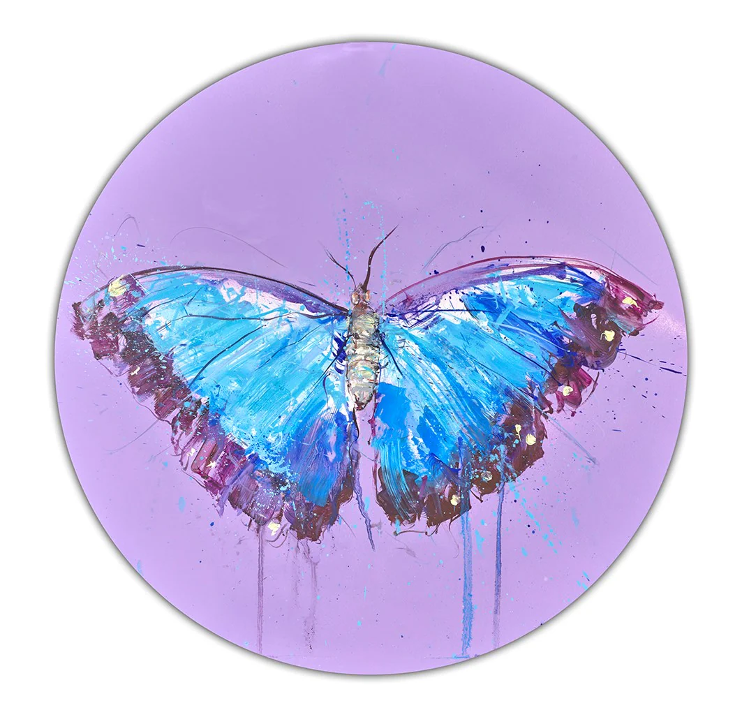 Morpho Butterfly (Study)