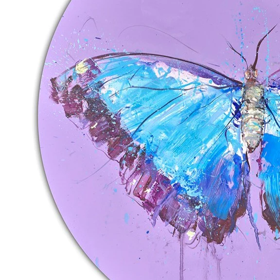 Morpho Butterfly (Study) - Image 3