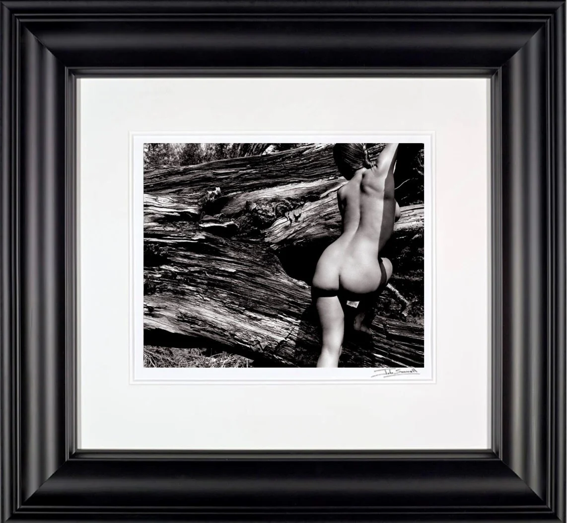 Naked Landscape, Plate 43