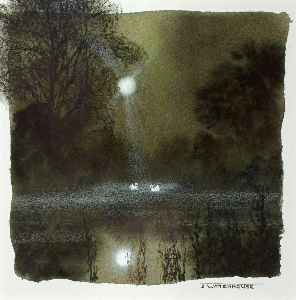 Natures Glory(Study) - Image 2