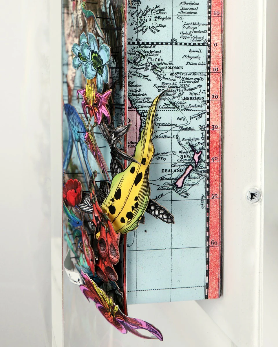 Navigators Floating Map - Giraffe Discoveries Of The World - Image 3