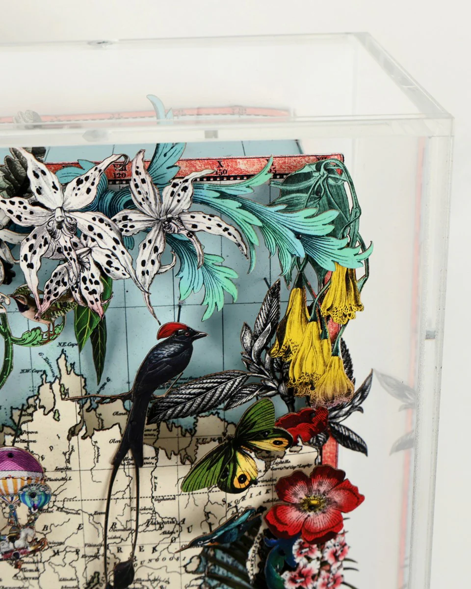 Navigators Floating Map - Giraffe Discoveries Of The World - Image 4
