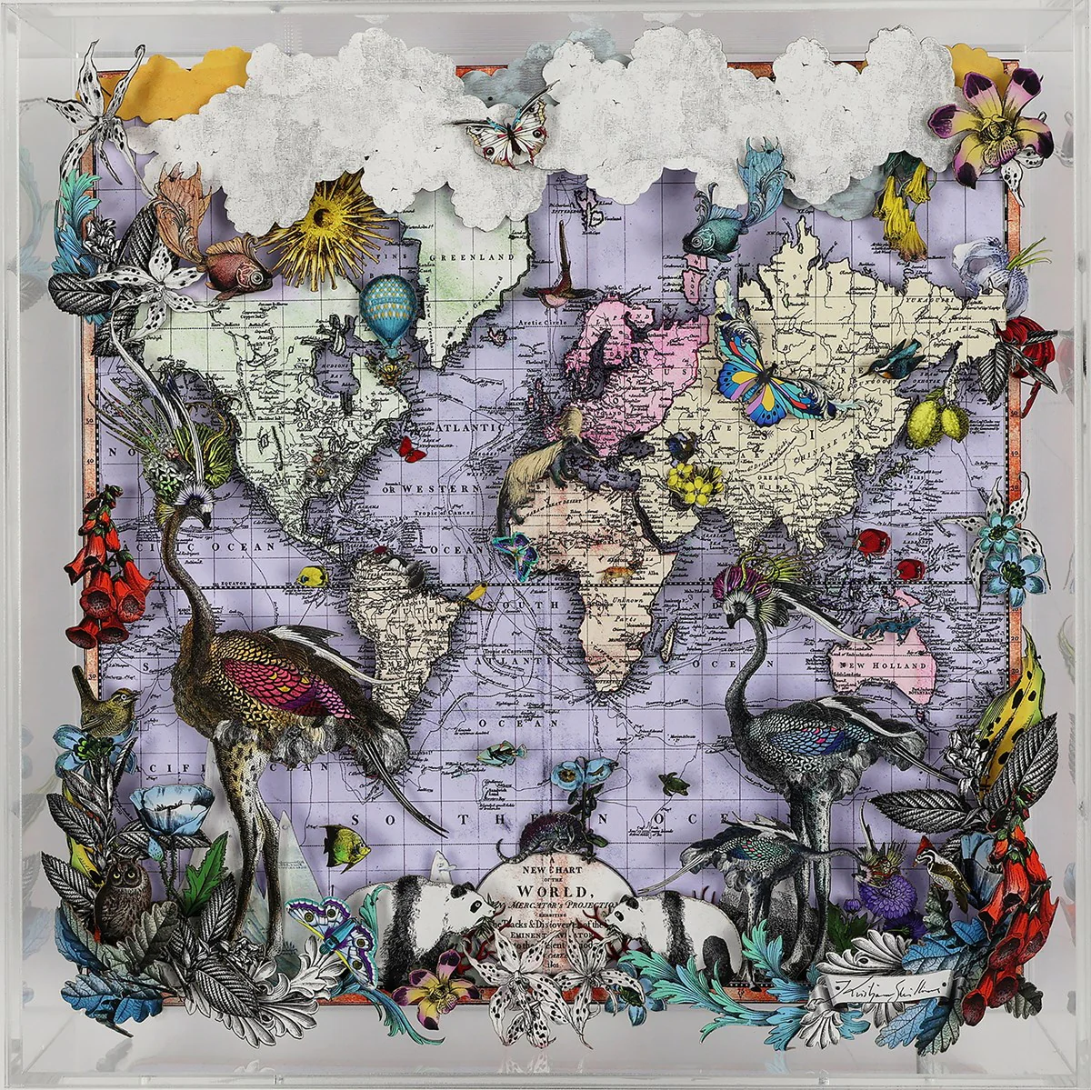 Navigators Floating Map - Ostrich Discoveries Of The World