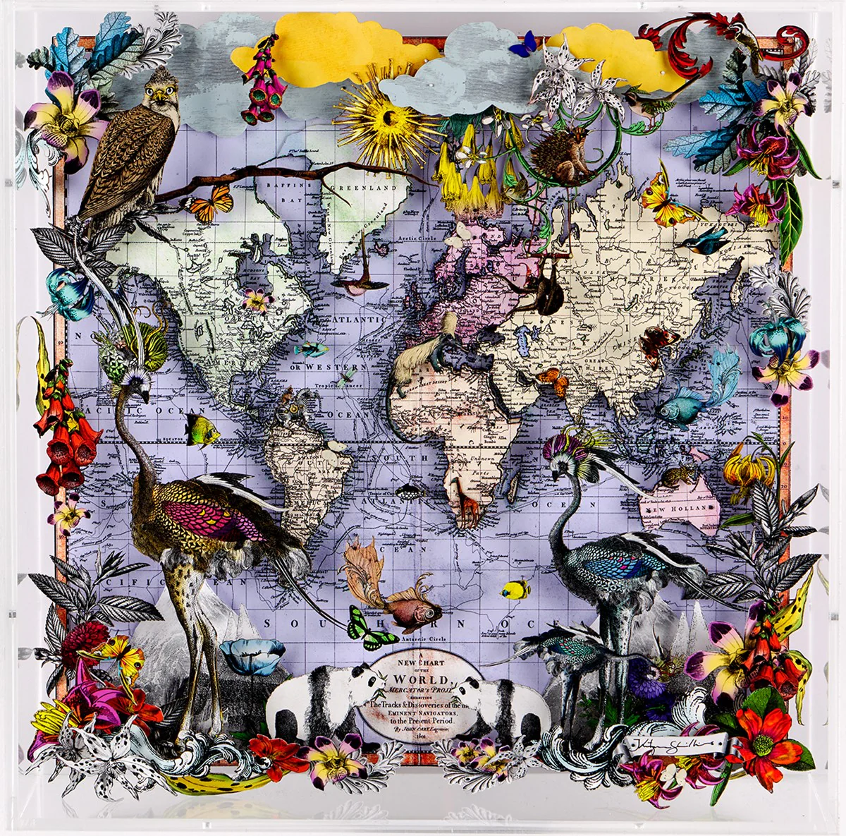 Navigators Floating Map - Ostrich Discoveries Of The World
