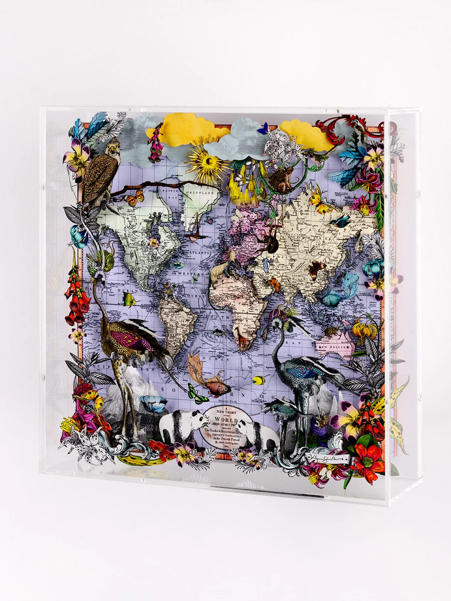 Navigators Floating Map - Ostrich Discoveries Of The World - Image 2