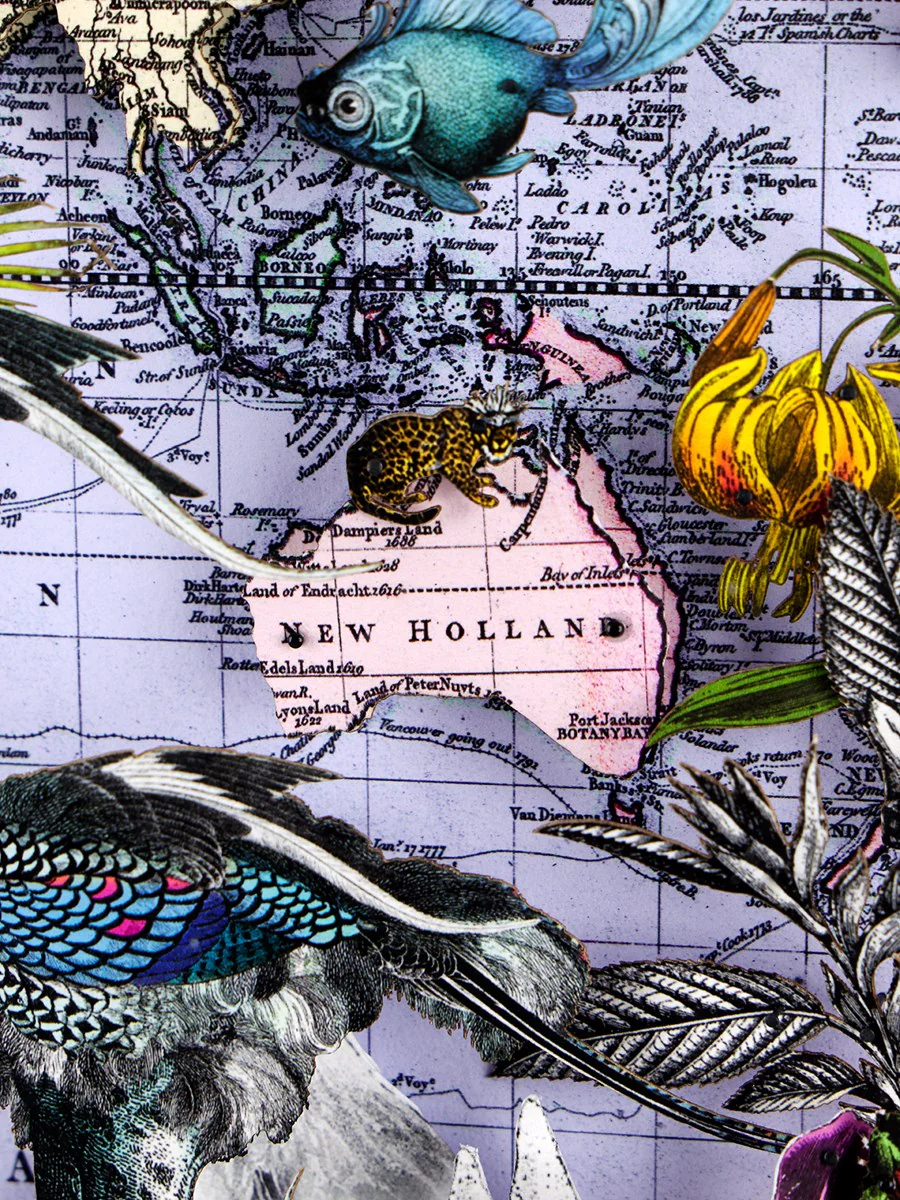 Navigators Floating Map - Ostrich Discoveries Of The World - Image 3