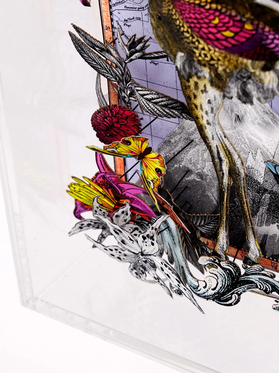 Navigators Floating Map - Ostrich Discoveries Of The World - Image 4