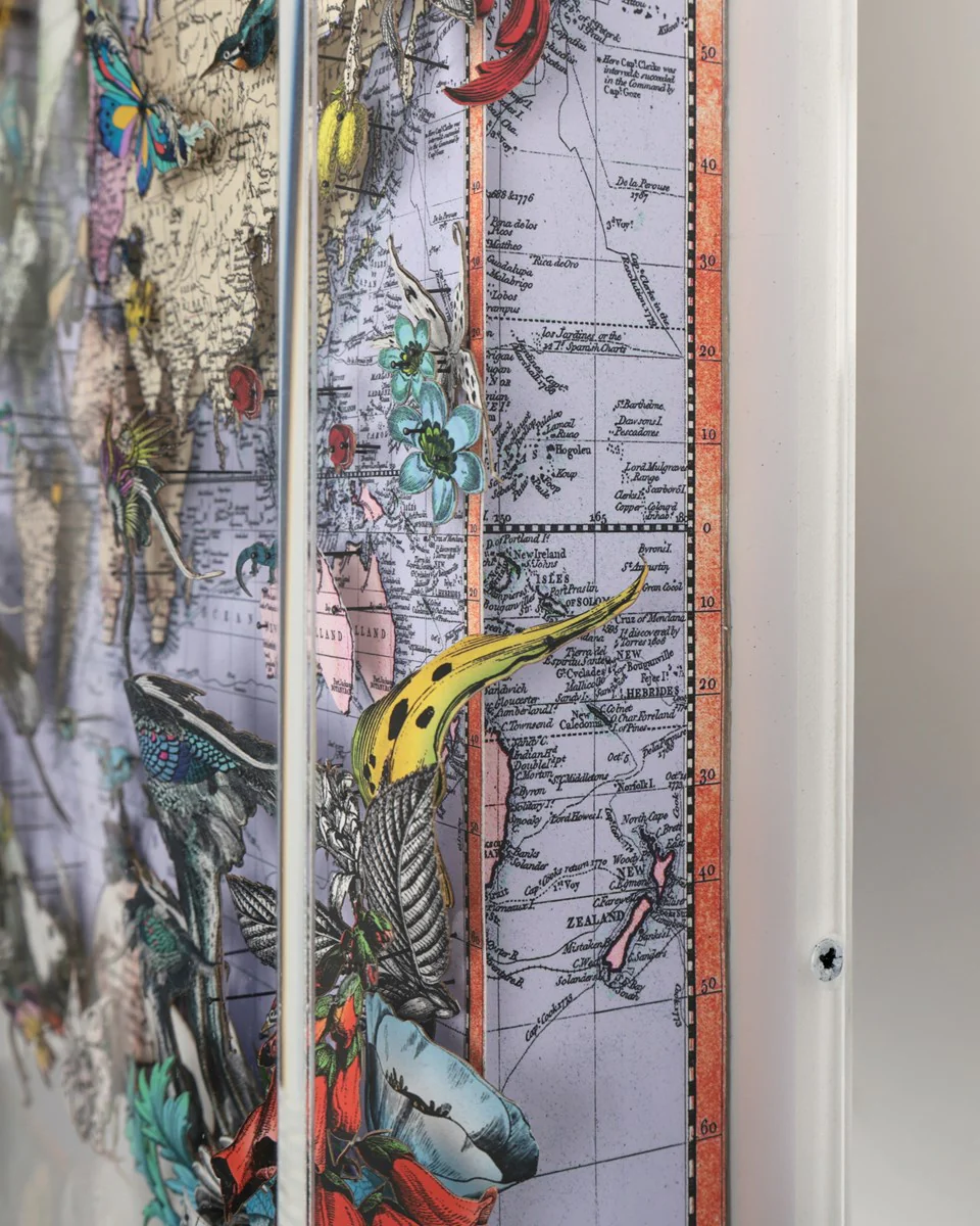 Navigators Floating Map - Ostrich Discoveries Of The World - Image 3