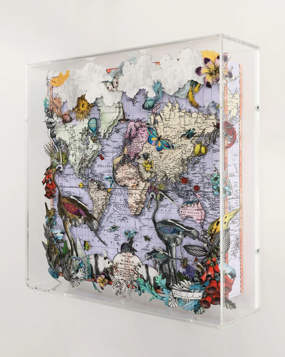 Navigators Floating Map - Ostrich Discoveries Of The World - Image 4
