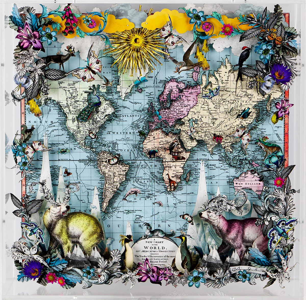 Navigators Floating Map - Polar Bear Discoveries Of The World