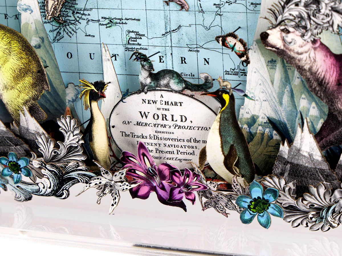 Navigators Floating Map - Polar Bear Discoveries Of The World - Image 4