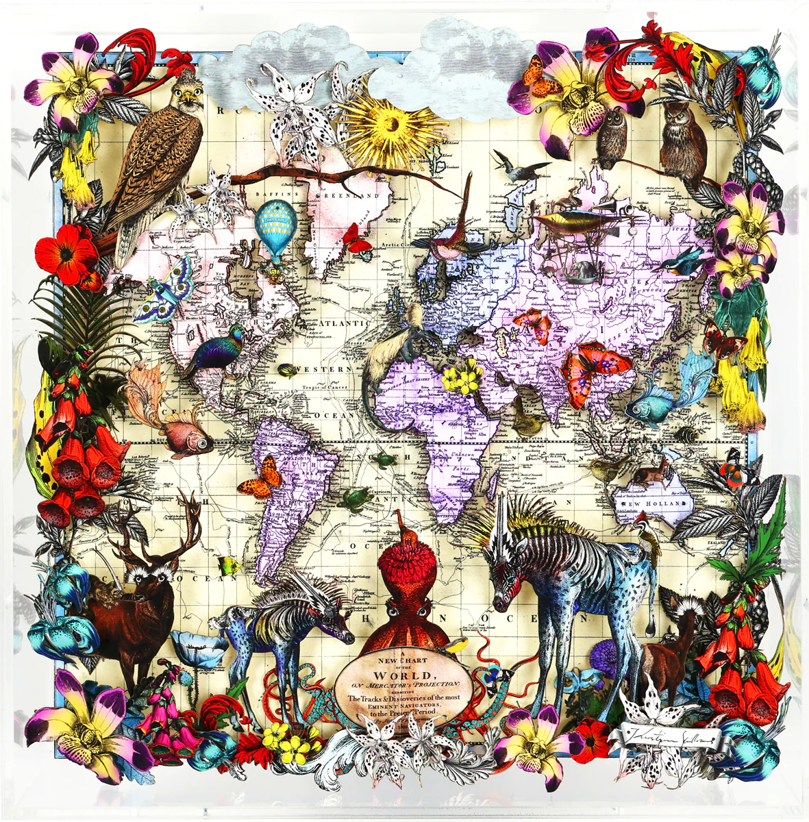 Navigators Floating Map - Zebra Discoveries Of The World