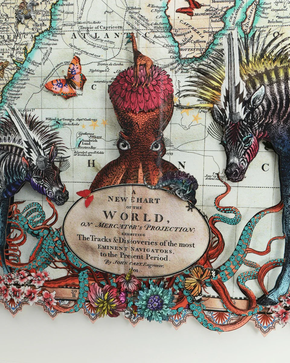 Navigators Hybrid 3D - Zebra Discoveries Of The World - Image 4