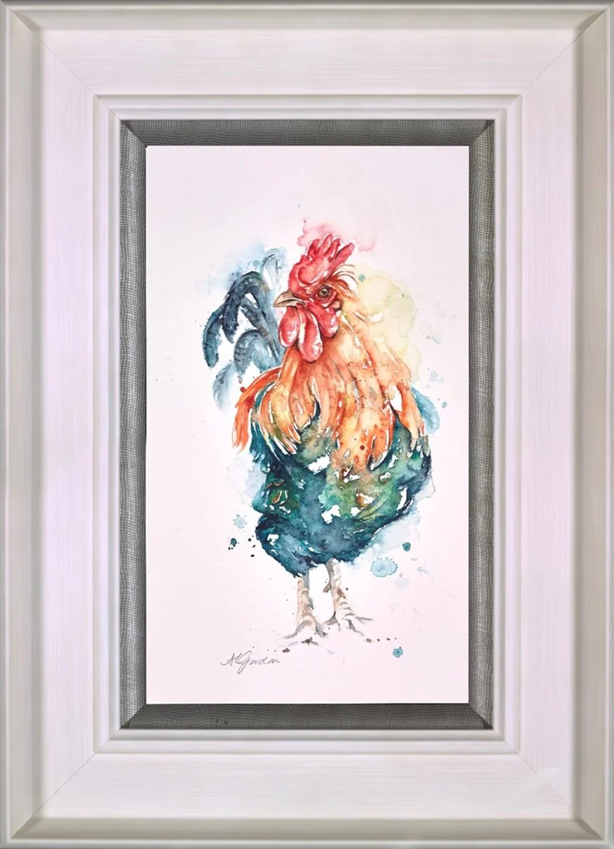 No Spring Chicken - Cockerel