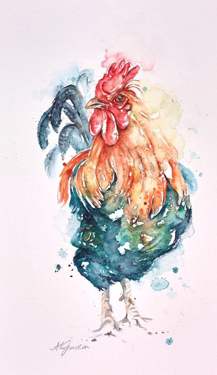 No Spring Chicken - Cockerel - Image 2
