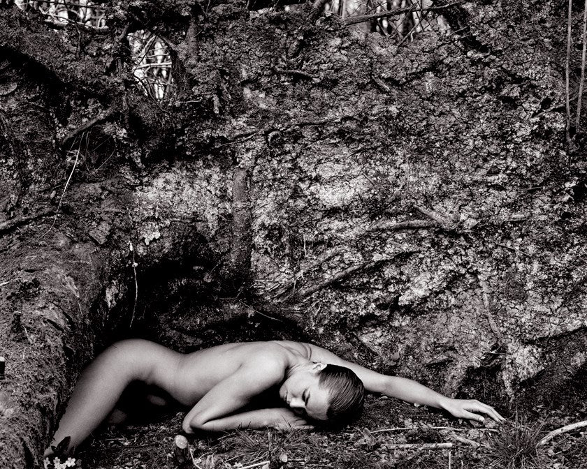 Nude Asleep, 1984 - Image 3