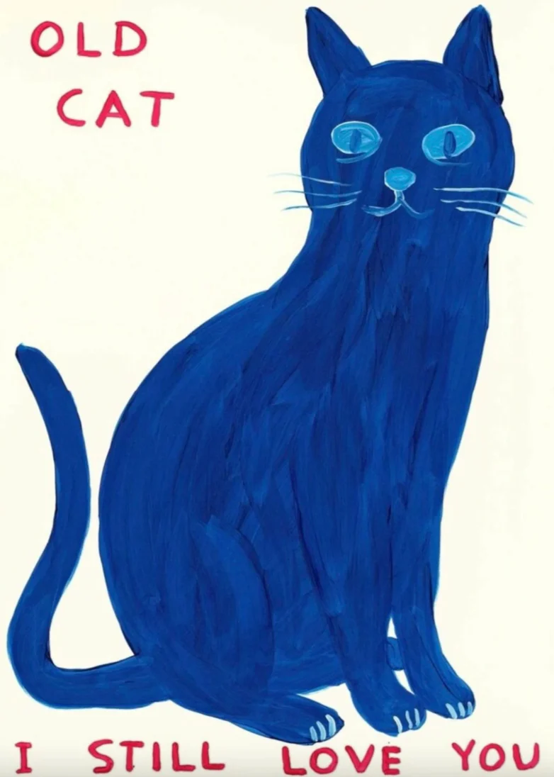Old Cat - Image 2
