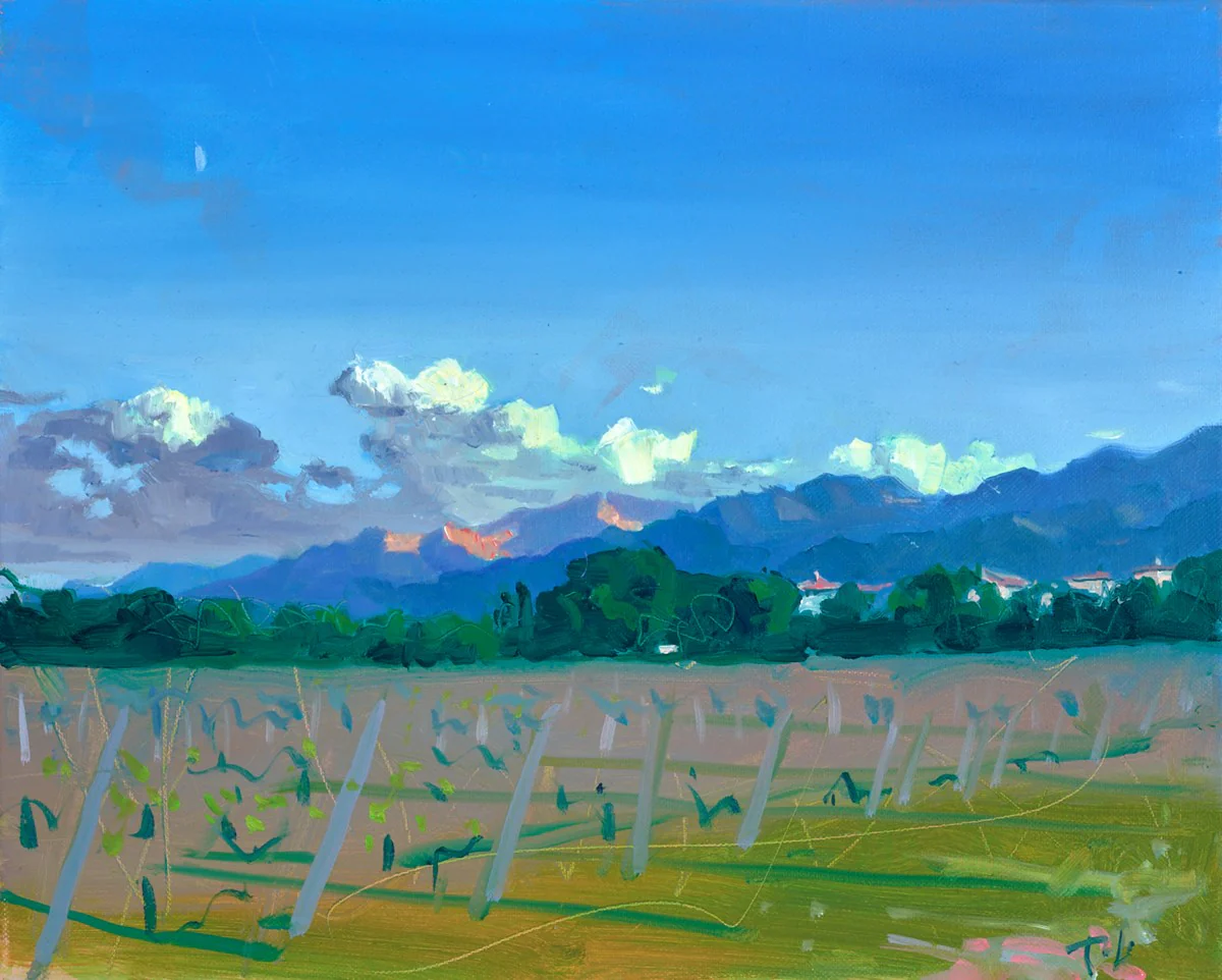 Open Skies - Image 2
