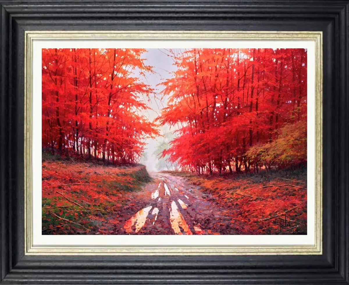 Otoño En Navarra