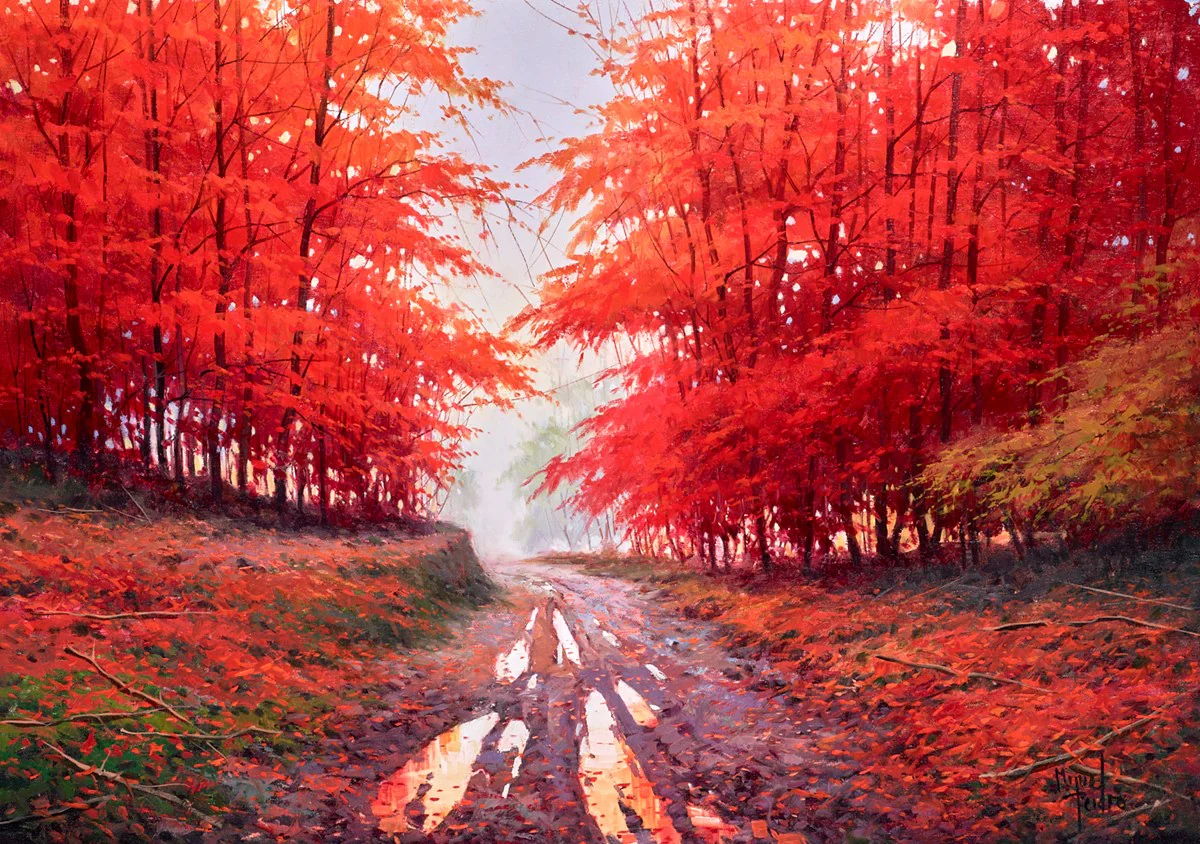 Otoño En Navarra - Image 2