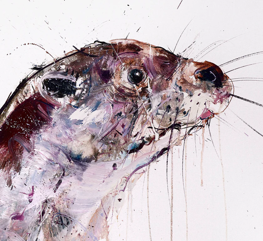 Otter - Image 4