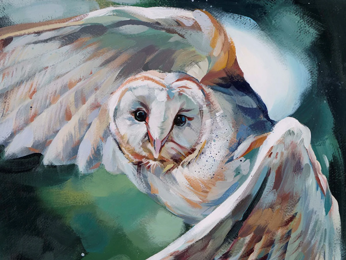 Owl - Image 4