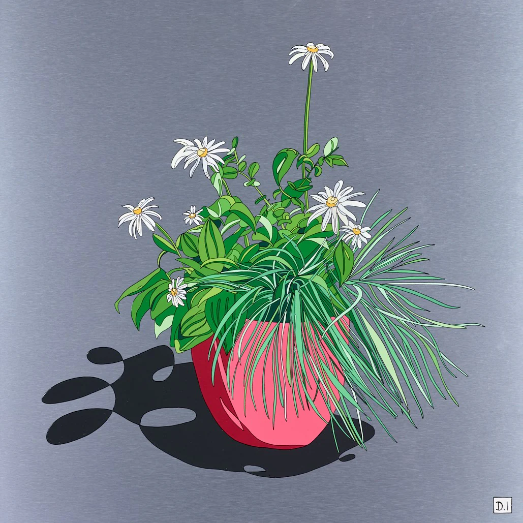 Oxeye Daisies - Image 2