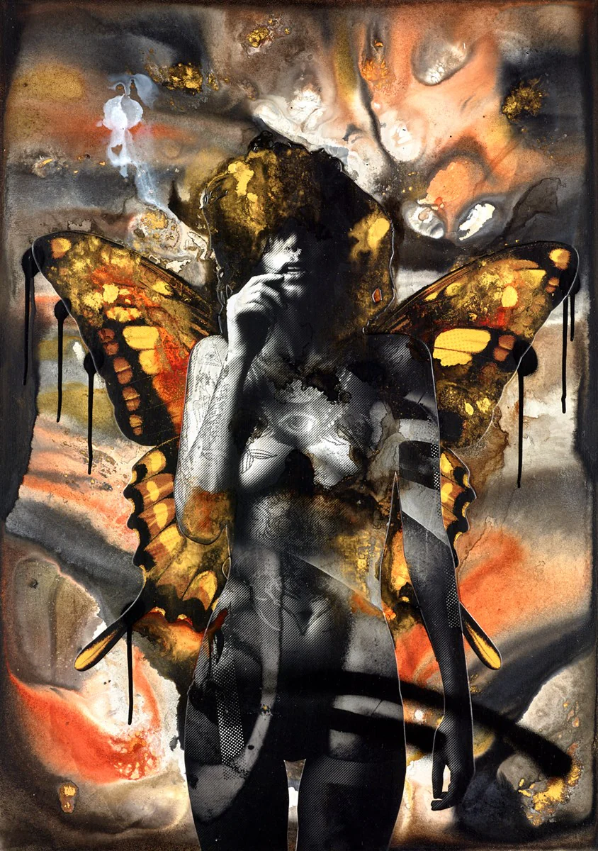 Painted Lady - Image 2