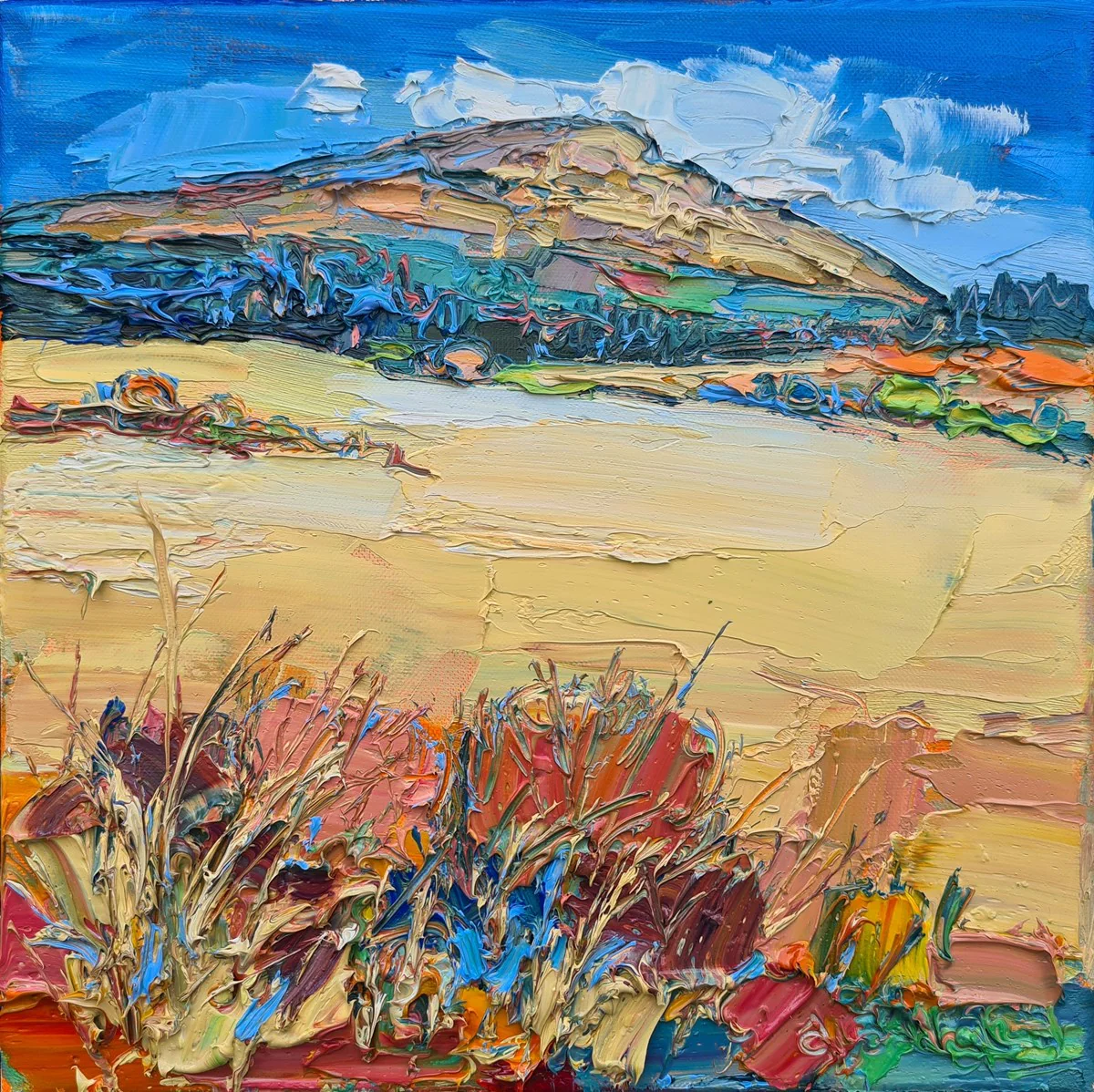 Pale Grasses, Argyll - Image 2