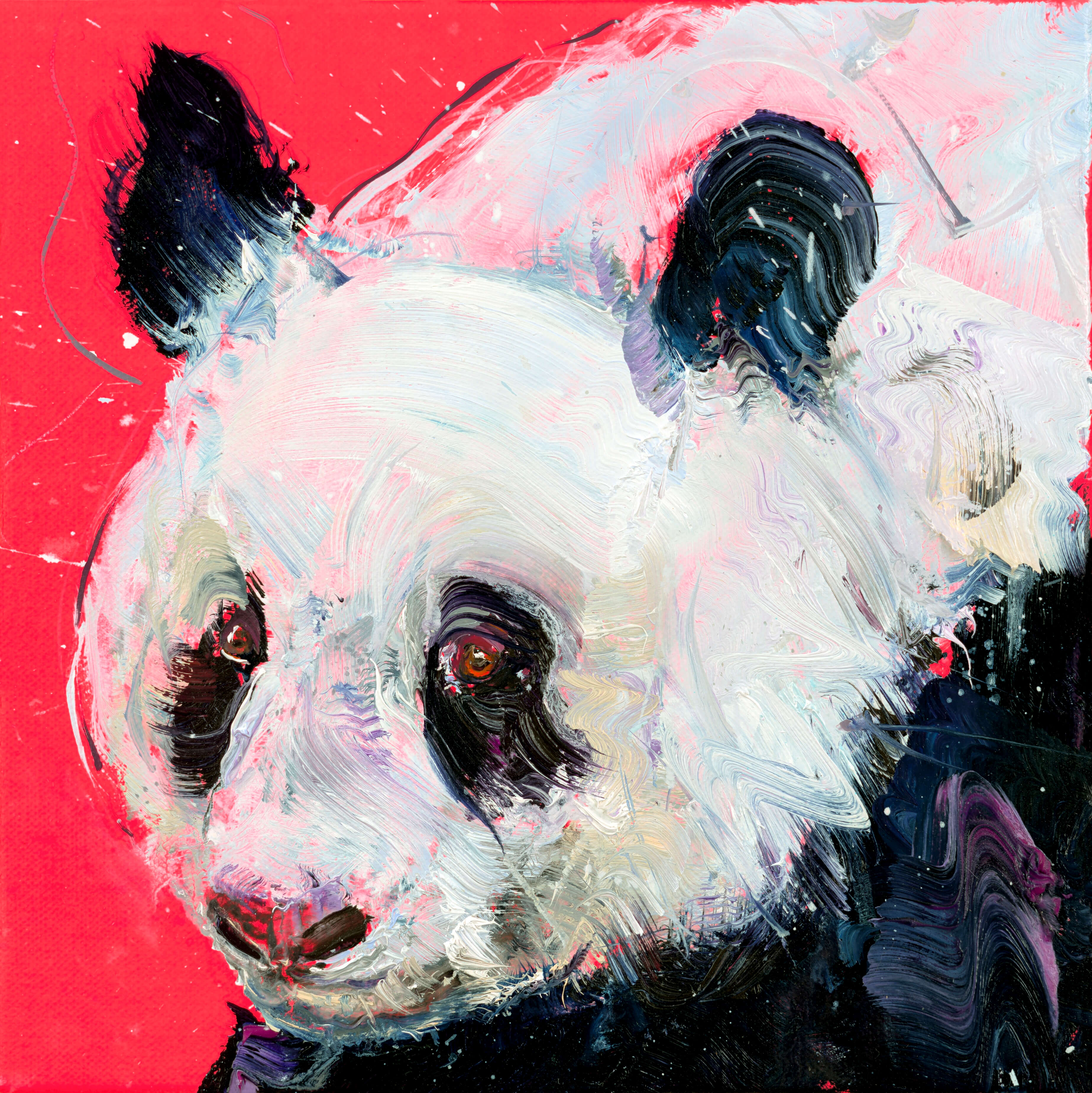 Panda II - Image 2