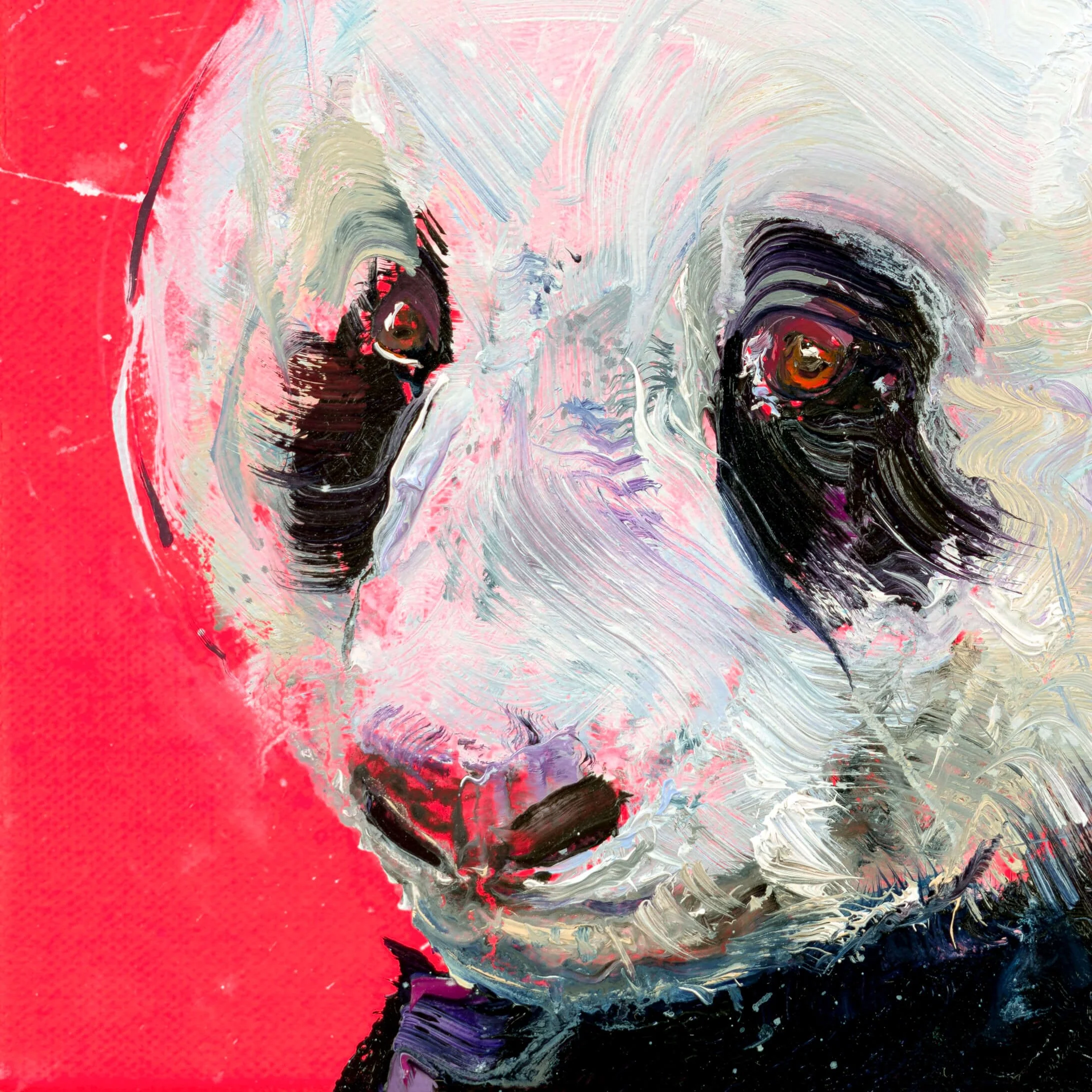 Panda II - Image 3