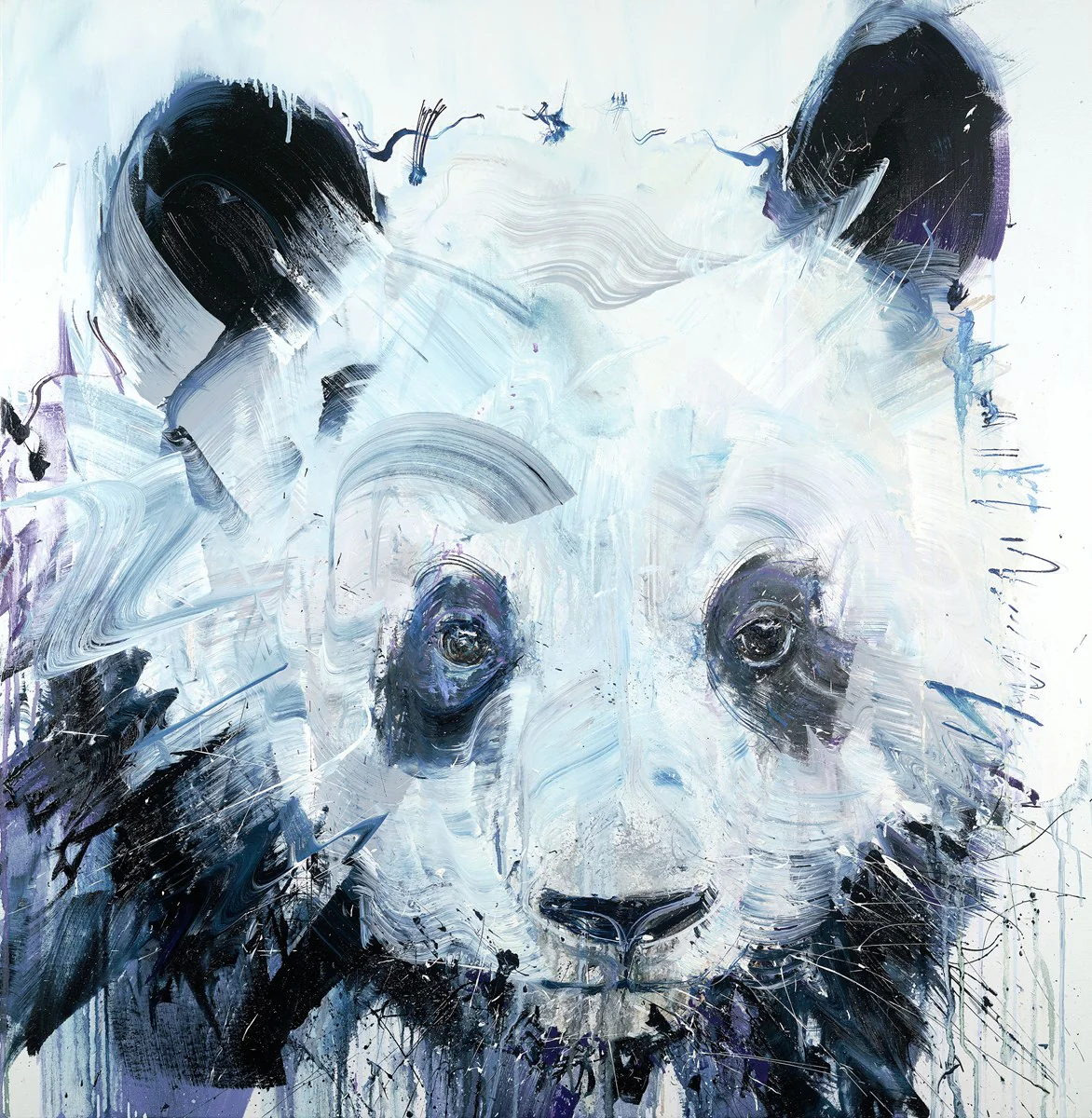 Panda XL - Image 2