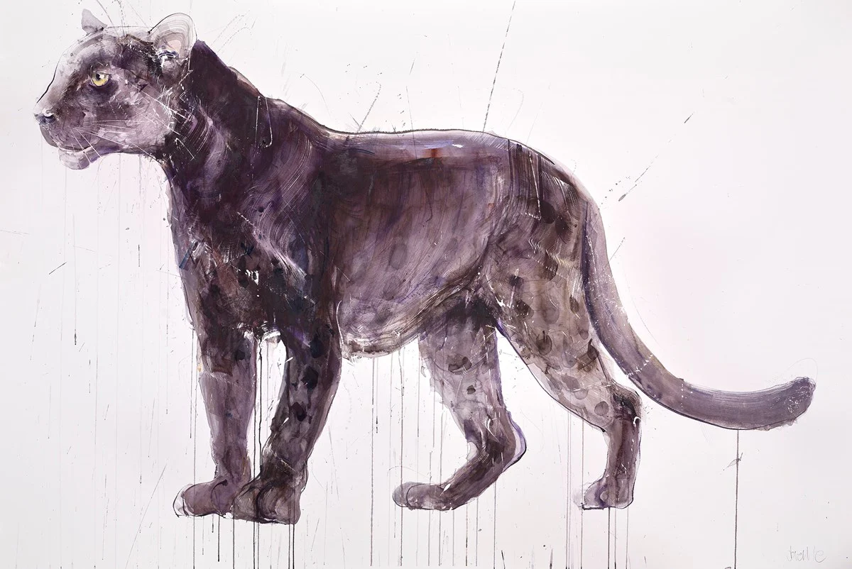 Panther - Image 3