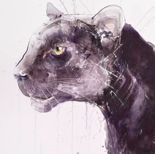Panther - Image 4