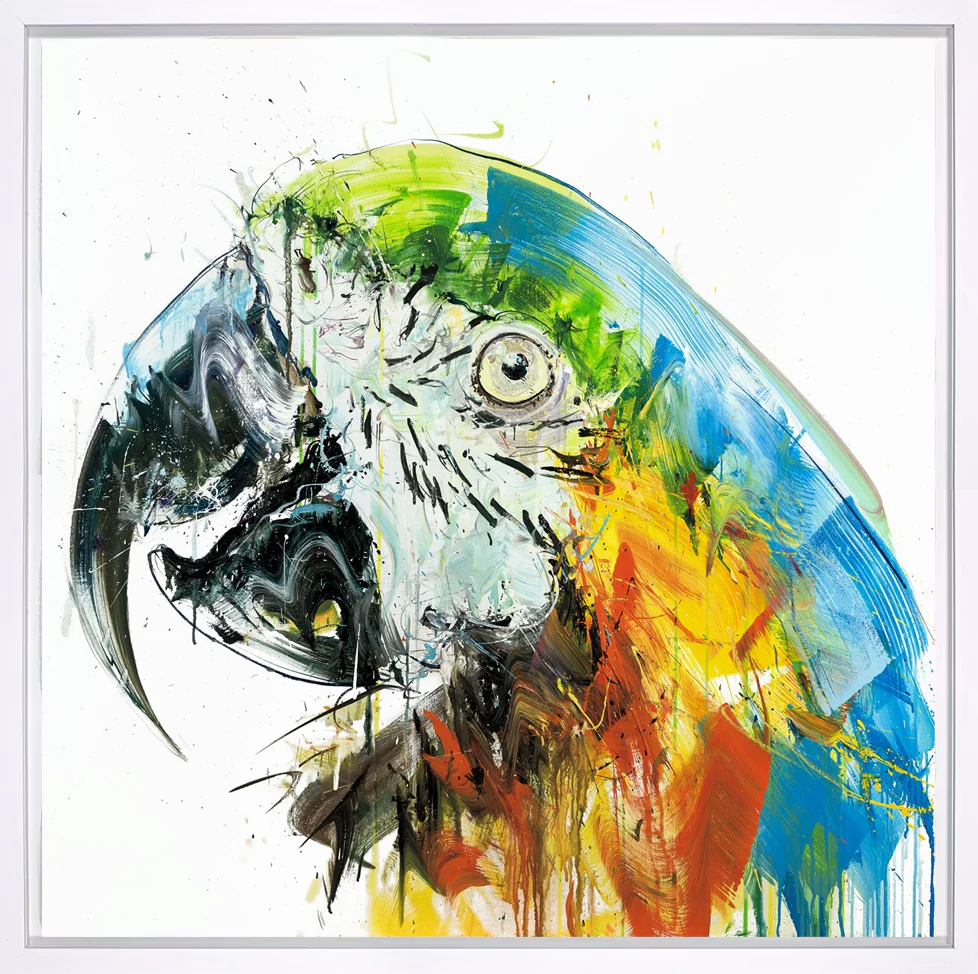 Parrot II AP