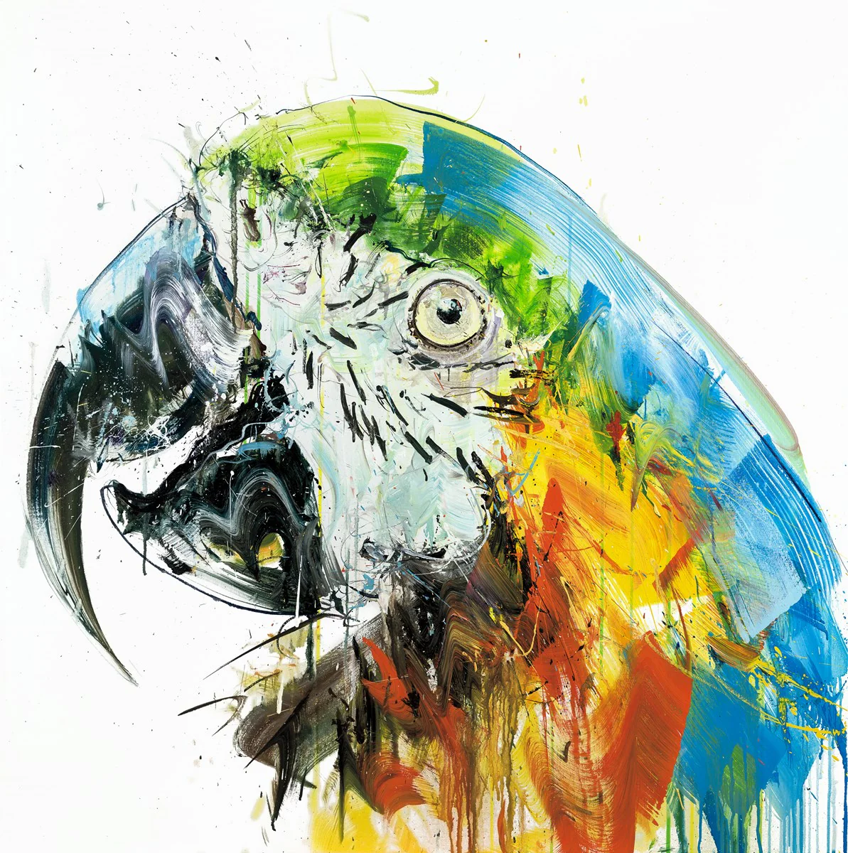 Parrot II AP - Image 2
