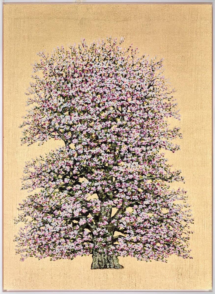 Penelope Flowering Damson Blossom