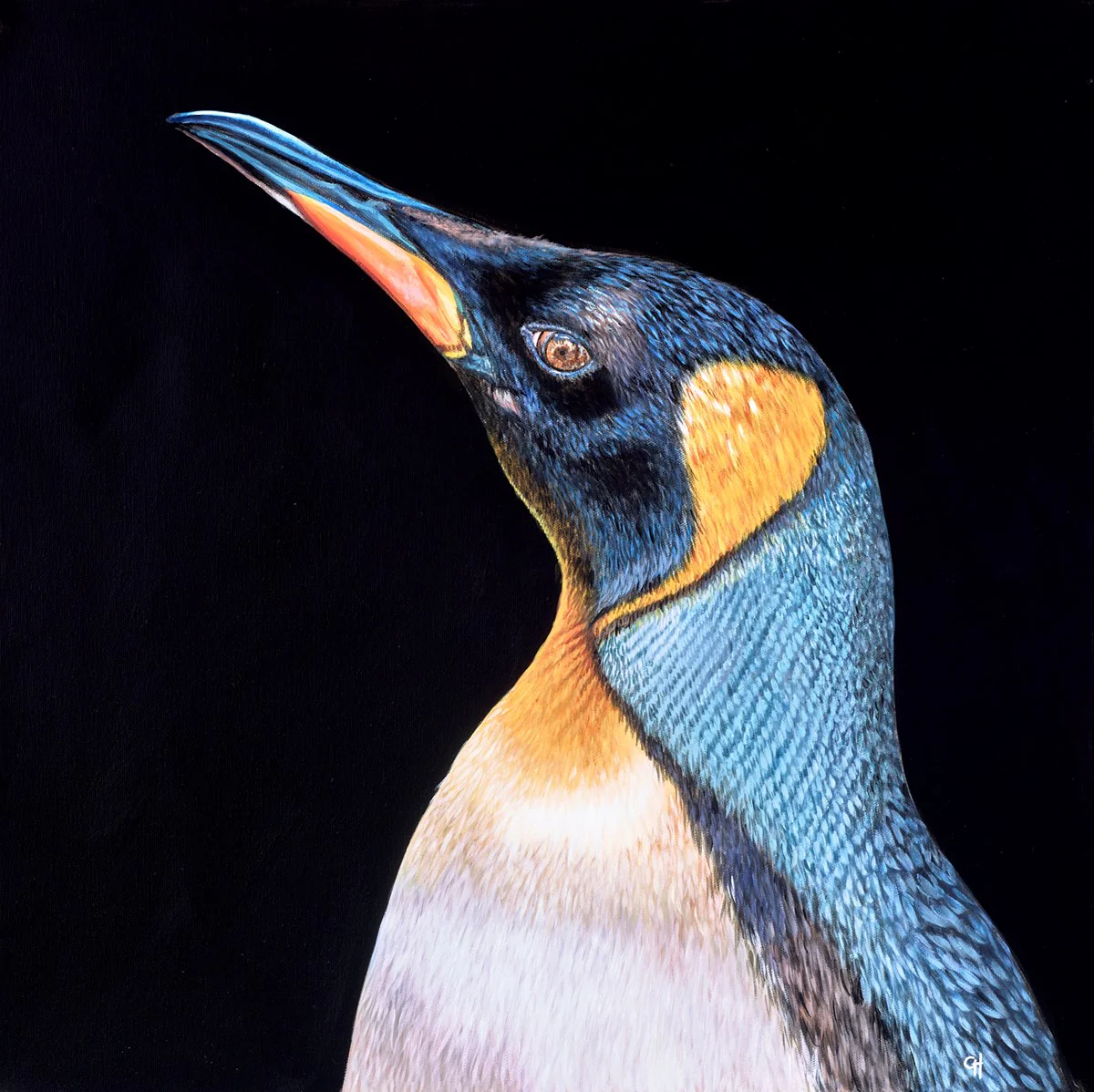 Penguin - Image 2