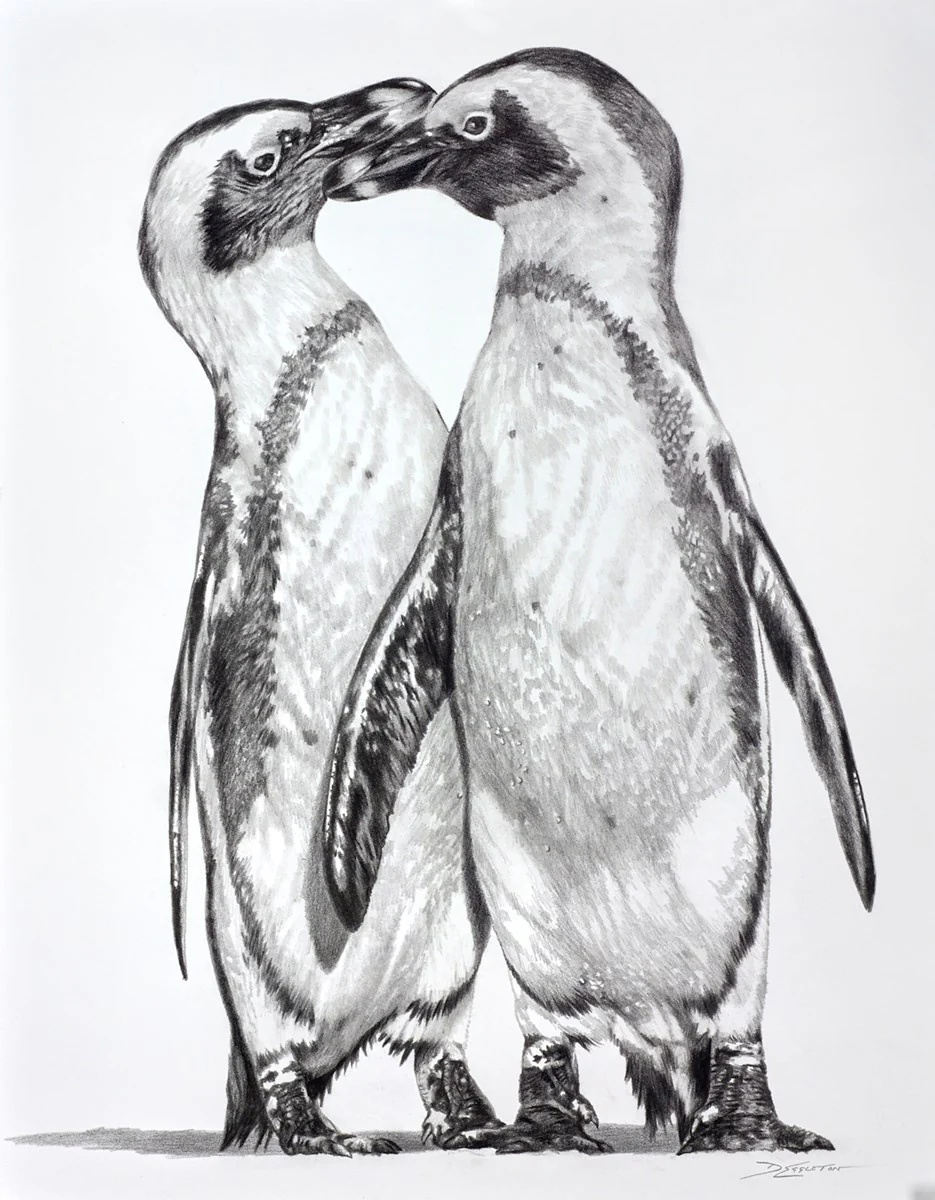 Penguins Playing