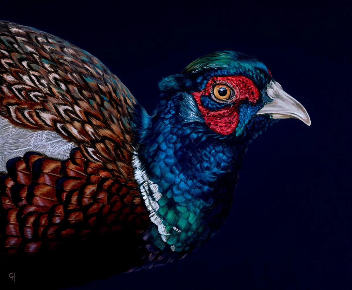 Pheasant