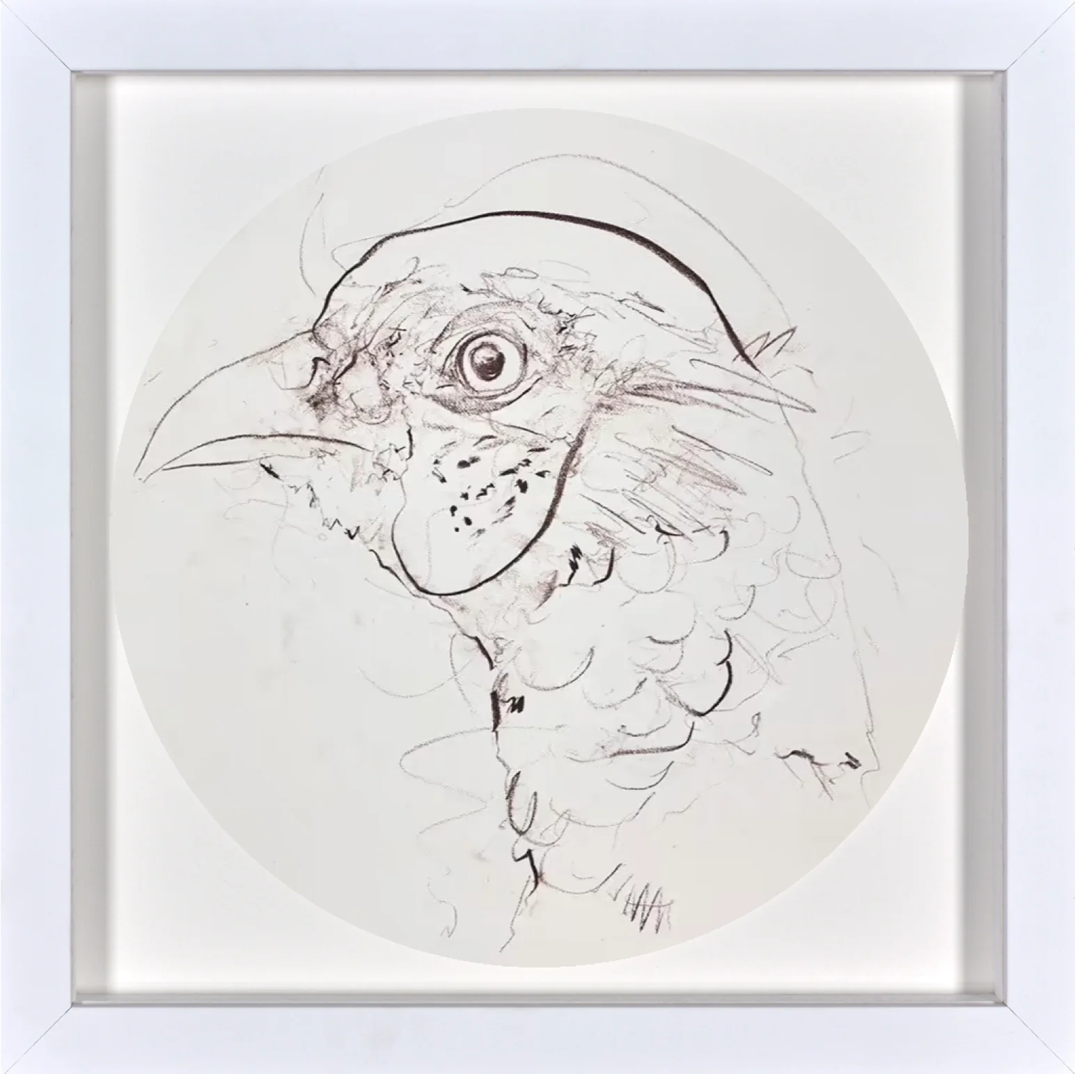 Pheasant Sketch