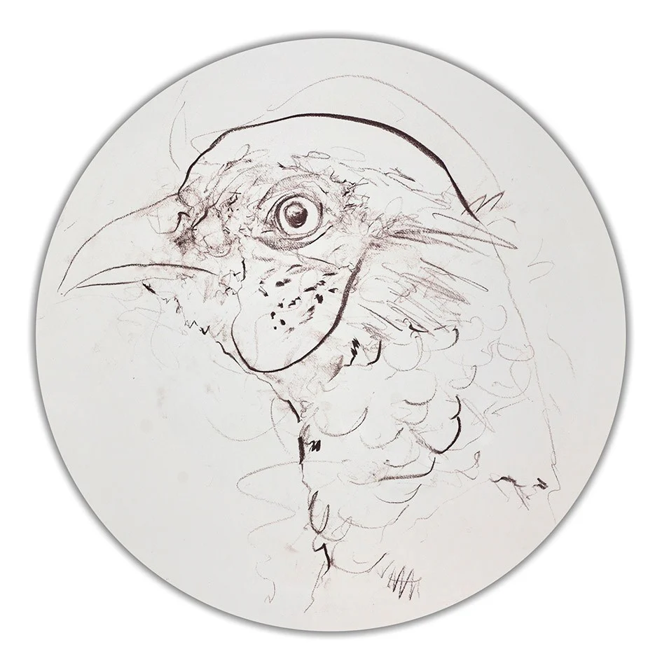 Pheasant Sketch - Image 2