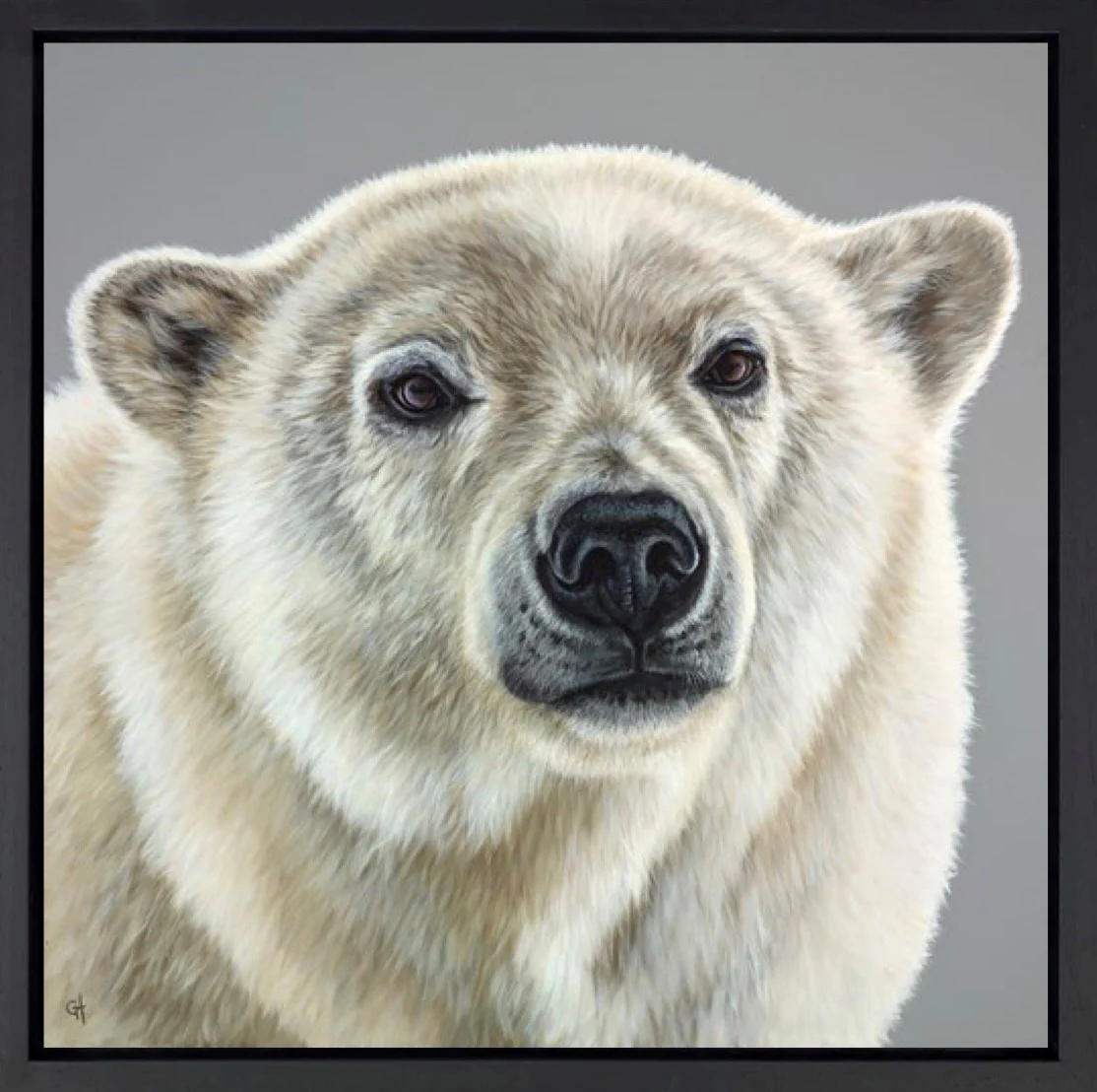 Polar Bear