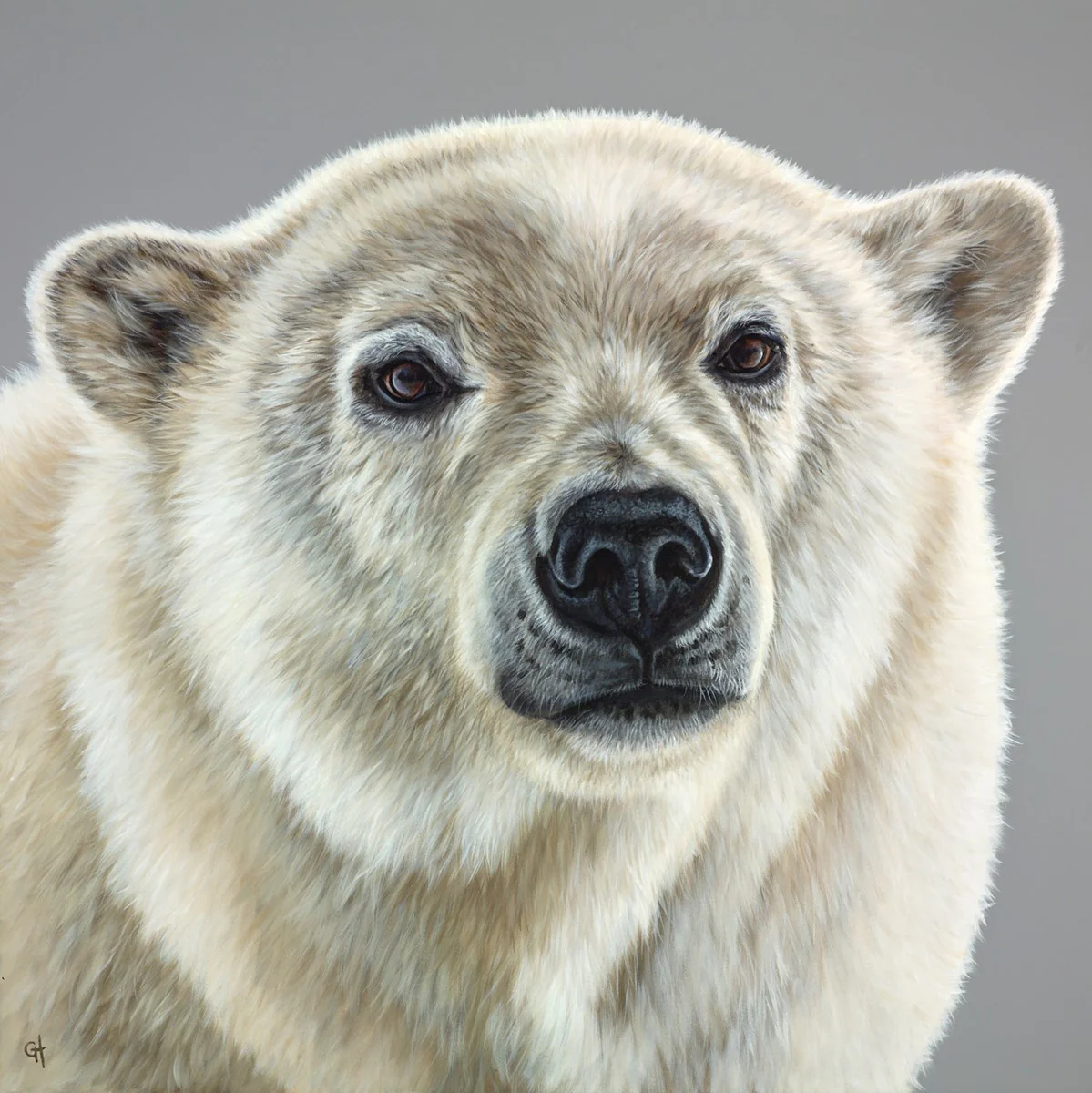 Polar Bear - Image 2