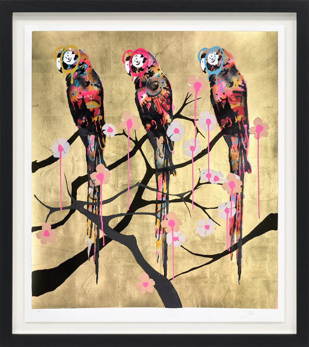 Polly Folly 17/25