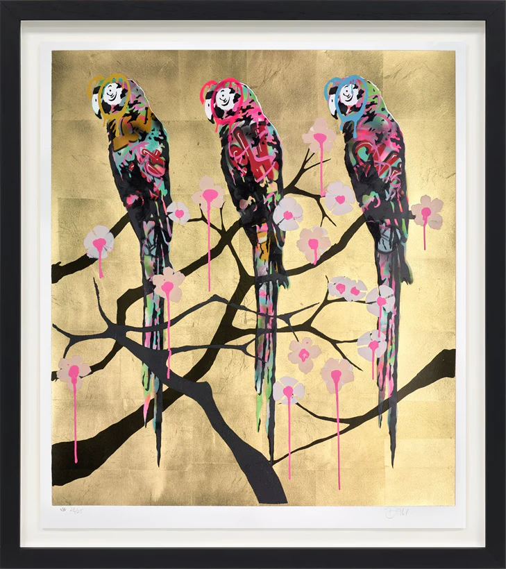 Polly Folly 23/25