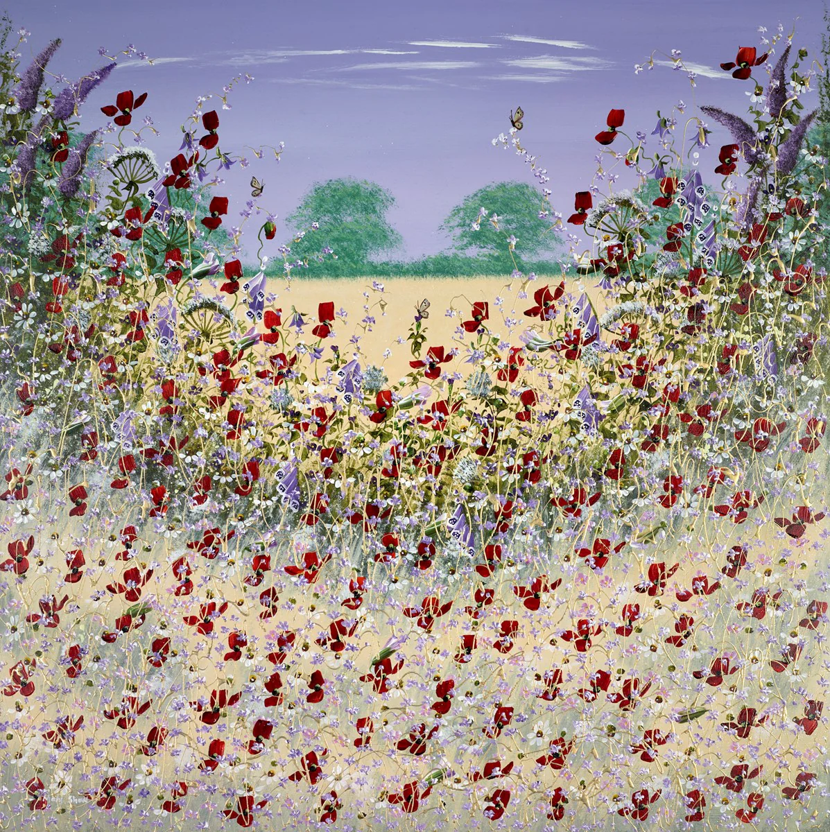 Poppies And Butterflies