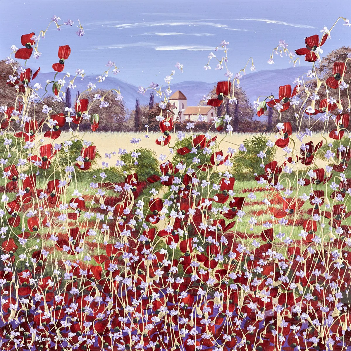 Poppies Near To Home IV