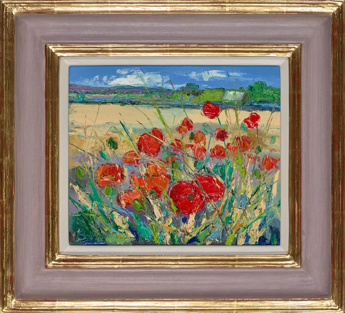 Poppies On Farmland,Longniddry