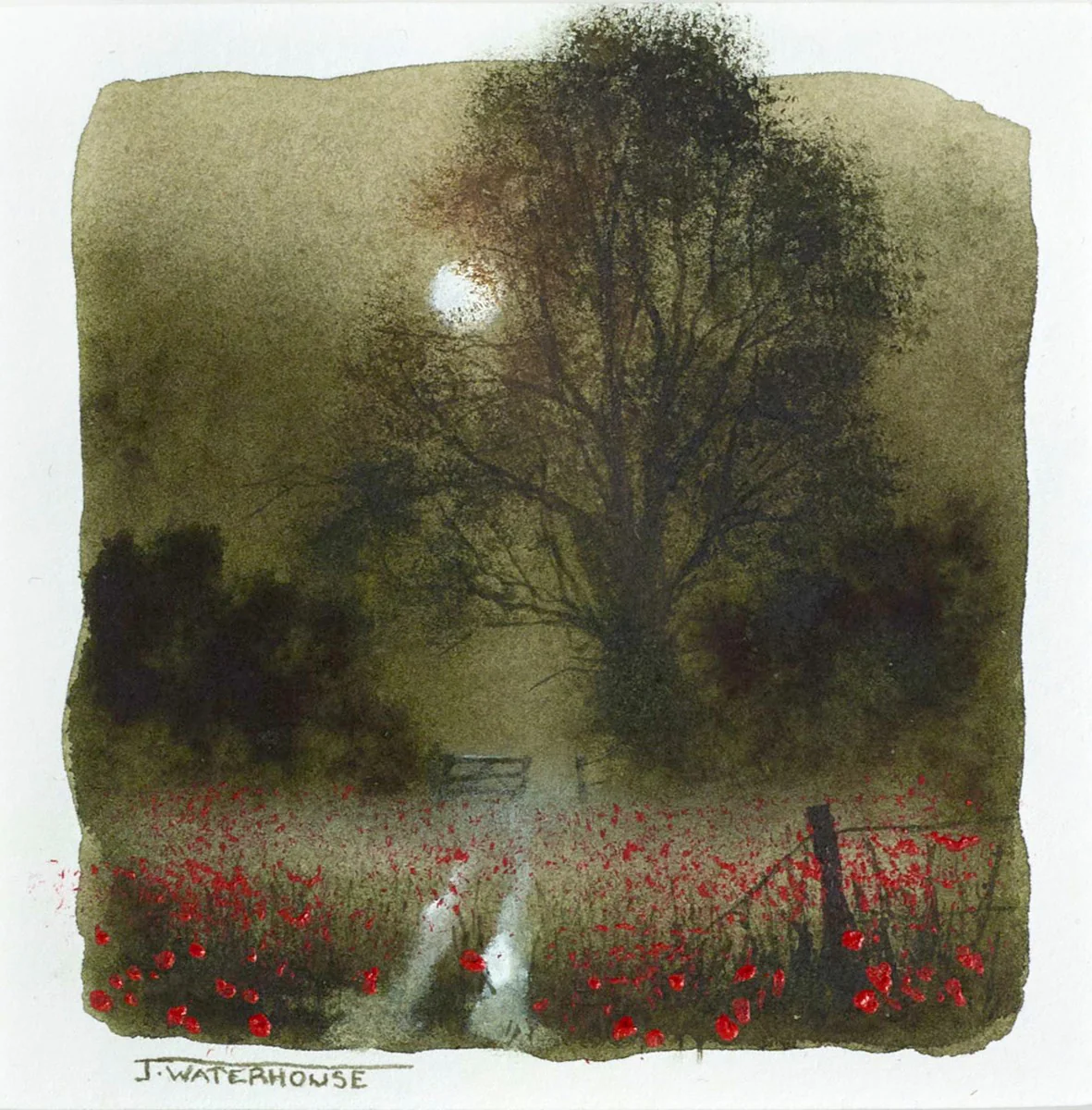 Poppies(Study) - Image 2